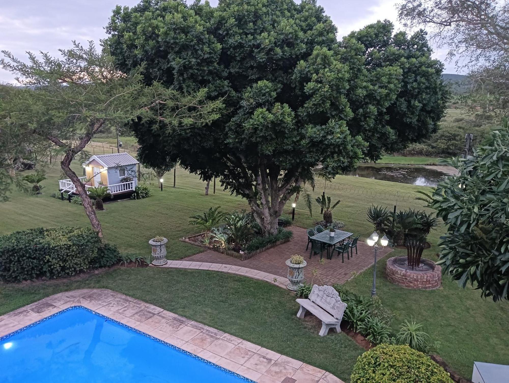 Little Tree Loft 2 Bed and Breakfast Uitenhage Εξωτερικό φωτογραφία